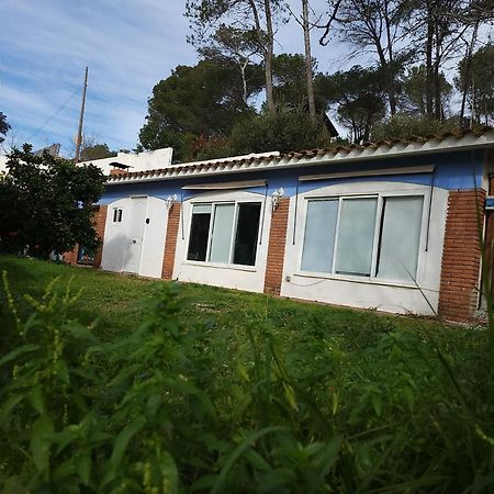 Raconet Azul - Circuito Cataluna Vallromanes Eksteriør billede