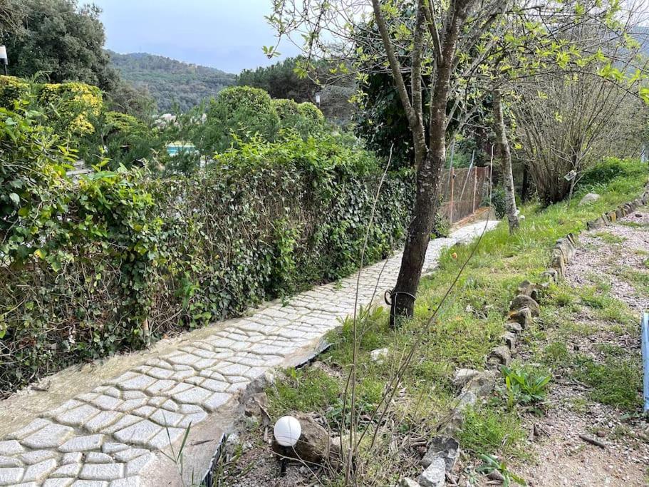 Raconet Azul - Circuito Cataluna Vallromanes Eksteriør billede