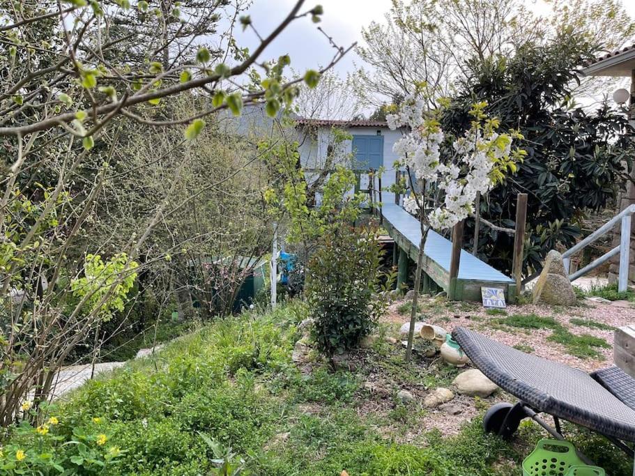 Raconet Azul - Circuito Cataluna Vallromanes Eksteriør billede